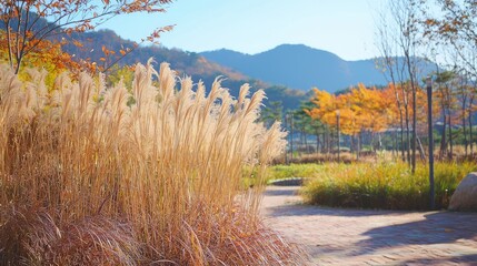 Tall Brown Grass with Feathery Tops in Autumn Landscape