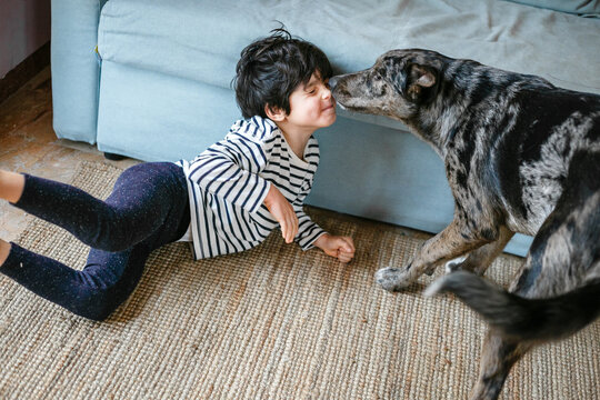 child playing with dog, being licked in the face