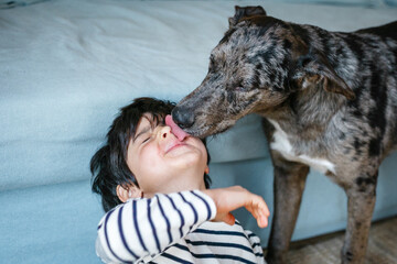 close-up view of dog licking the face of the child in striped clothes