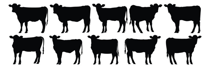 Cow silhouettes set, animal pack of vector silhouette design, isolated background