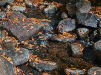 autumn at trap falls brook