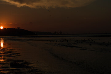 Fototapeta premium photographs of beautiful nature landscapes, from majestic mountains to serene sunsets
