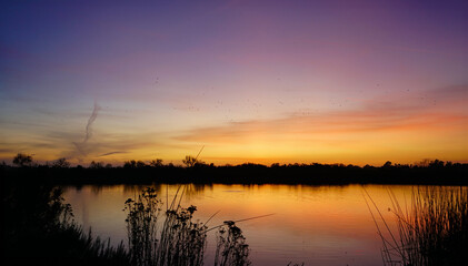 Beautiful sunset over a marsh pond with reeds in foreground