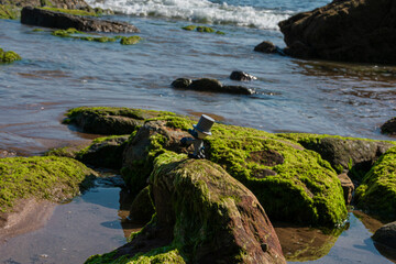 photographs of beautiful nature landscapes, from majestic mountains to serene sunsets