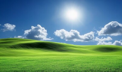 Fototapeta premium A green field with a bright sun shining on it