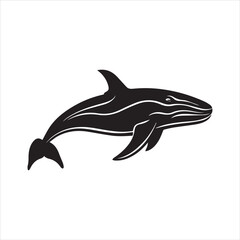dolphin isolated on white