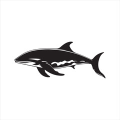 illustration of a shark