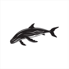 black whale,fish, dolphin, shark, animal, sea, vector, ocean, blue, cartoon, illustration, white, isolated, water, mammal, marine, fin, underwater, silhouette, nature, art, swimming, wildlife, black, 