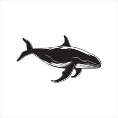 black whale,fish, dolphin, shark, animal, sea, vector, ocean, blue, cartoon, illustration, white, isolated, water, mammal, marine, fin, underwater, silhouette, nature, art, swimming, wildlife, black, 