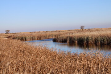 open water in prairie marsh turning to the right