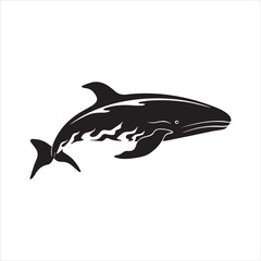black whale,fish, dolphin, shark, animal, sea, vector, ocean, blue, cartoon, illustration, white, isolated, water, mammal, marine, fin, underwater, silhouette, nature, art, swimming, wildlife, black, 