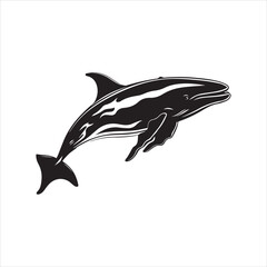black whale,fish, dolphin, shark, animal, sea, vector, ocean, blue, cartoon, illustration, white, isolated, water, mammal, marine, fin, underwater, silhouette, nature, art, swimming, wildlife, black, 