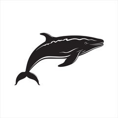 black whale,fish, dolphin, shark, animal, sea, vector, ocean, blue, cartoon, illustration, white, isolated, water, mammal, marine, fin, underwater, silhouette, nature, art, swimming, wildlife, black, 
