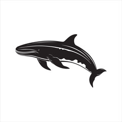black whale,fish, dolphin, shark, animal, sea, vector, ocean, blue, cartoon, illustration, white, isolated, water, mammal, marine, fin, underwater, silhouette, nature, art, swimming, wildlife, black, 