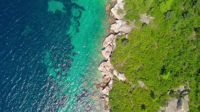 Top Down z Drona: Zielona Roślinność i Skalisty Brzeg nad Turkusowym Morzem Adriatyckim