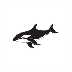 black whale,fish, dolphin, shark, animal, sea, vector, ocean, blue, cartoon, illustration, white, isolated, water, mammal, marine, fin, underwater, silhouette, nature, art, swimming, wildlife, black, 