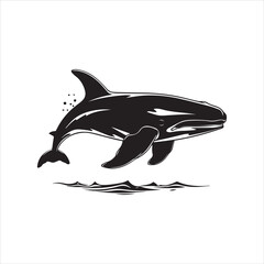 black whale,fish, dolphin, shark, animal, sea, vector, ocean, blue, cartoon, illustration, white, isolated, water, mammal, marine, fin, underwater, silhouette, nature, art, swimming, wildlife, black, 