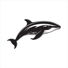 black whale,fish, dolphin, shark, animal, sea, vector, ocean, blue, cartoon, illustration, white, isolated, water, mammal, marine, fin, underwater, silhouette, nature, art, swimming, wildlife, black, 