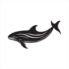 black whale,fish, dolphin, shark, animal, sea, vector, ocean, blue, cartoon, illustration, white, isolated, water, mammal, marine, fin, underwater, silhouette, nature, art, swimming, wildlife, black, 