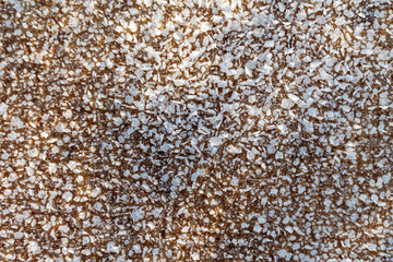 Frost sparkles on tree branches, frost creates icy patterns, and snow cover gives nature a winter wonderland