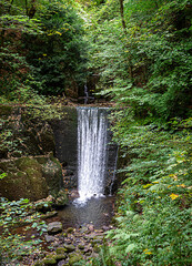 Landscape photography of waterfall in Alva glen, Scotland, forest, serenity; scenery; panorama; flowing water, environment, adventure, park, stream