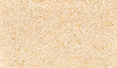 Macro photography of raw paella rice, cereal; grain, healthy food, blank; banner; empty; template
