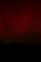 Fototapeta premium Background pattern