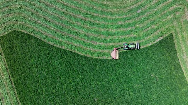 Aerial farm tractor agriculture cutting hay 3. Tractor pulling swather industrial equipment. Rural farming community agricultural economy. Autumn harvesting of alfalfa hay agriculture.