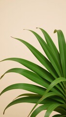 Fototapeta premium Green textured palm leaf pattern evokes a relaxing tropical getaway atmosphere for vacation travel and well-being
