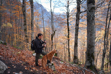A hiker and a Nova Scotia Duck Tolling Retriever walk side by side along a trail covered with...