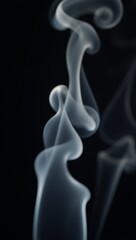 Obraz premium Smoky scene with dark backdrop