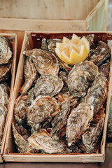 Close-up of oysters at the market in Menton, on the French Riviera
