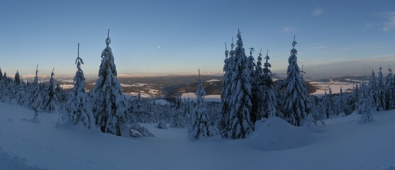 Scenic winter landscape