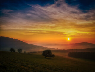 Scenic hilly landscape with solitary trees during sunset