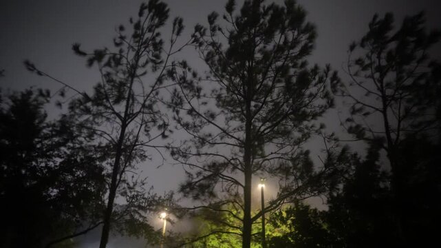 Hurricane big gust wind, heavy rain and lightning on landfall