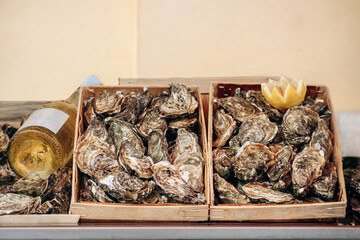 Close-up of oysters at the market in Menton, on the French Riviera