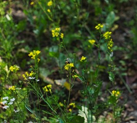 Fashion photoshoot indoors.