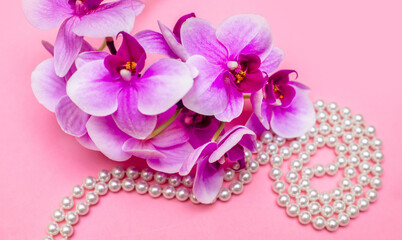 Pearl necklace and Purple orchid on pink background
