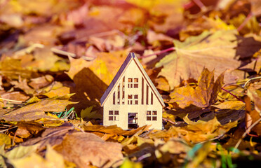 The symbol of the house stands among the fallen autumn leaves

