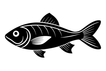 fish isolated on white