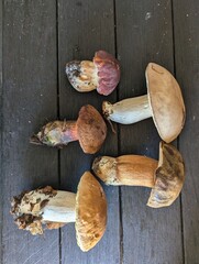 Boletus mushrooms on the wooden table. Top view of fresh porcini mushroom