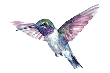 Obraz premium Watercolor hummingbird illustration with vibrant colors, isolated on a white background. Tropical bird hand-drawn clipart perfect for summer designs