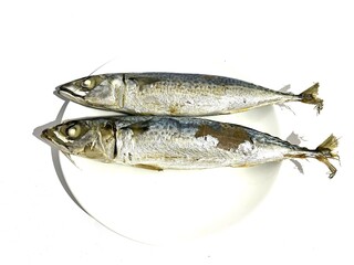 Two salted sardine or cue fish with shiny silver skin on a round ceramic plate isolated on white background