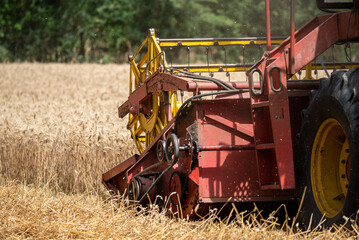 Close-up of the reel and cutting of the combine harvester