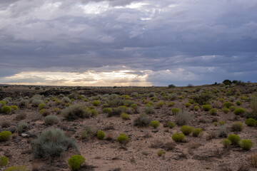 Clouds over the desert shrubs during the sunset