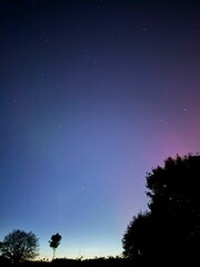 Starry night sky with northern lights (aurora borealis)