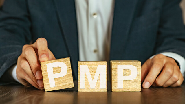 There is wood cube with the word PMP. It is an abbreviation for Project Management Professional as eye-catching image.
