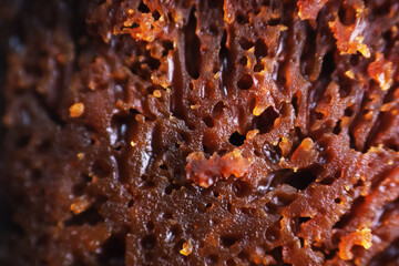 Macro shot of honeycomb cake. The cake is full of tunnels or holes and is quite chewy