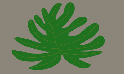 Biomorphism set leaves with 12 elips holes