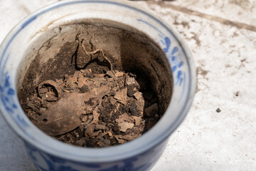 maceta de cerámica pequeña parcialmente llena de tierra